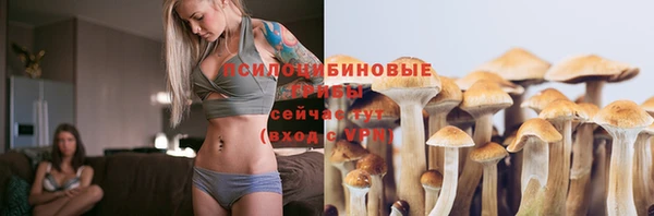стаф Зеленокумск
