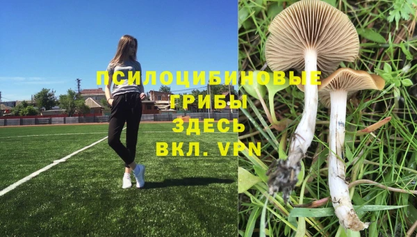 экстази Зерноград