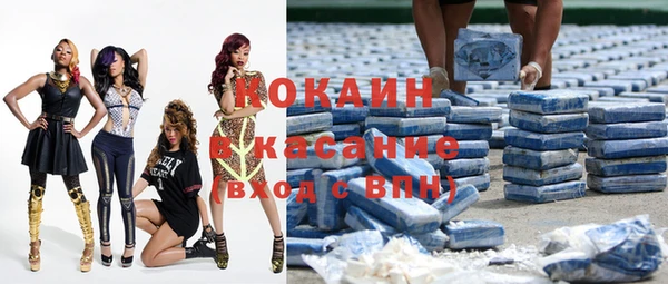стаф Зеленокумск