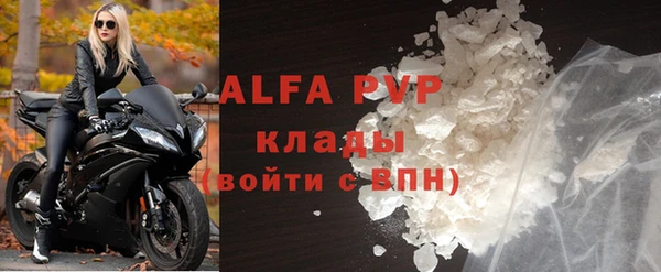 стаф Зеленокумск